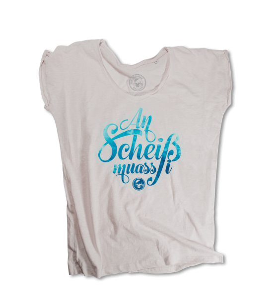 an Scheiss muass i